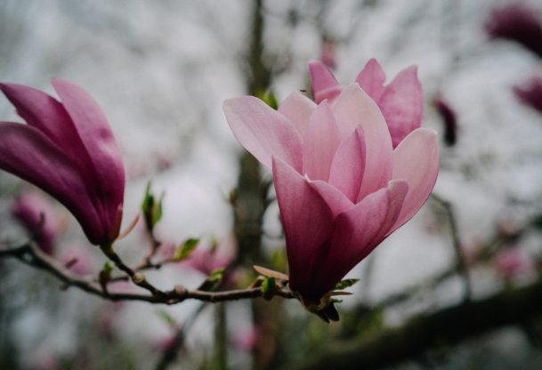 The Hidden Benefits Of A Spiritual Life